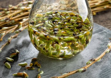 Cam bir kavanozdaki beyaz söğüt tomurcuklarından gelen Gemmotherapeutic tentürü.