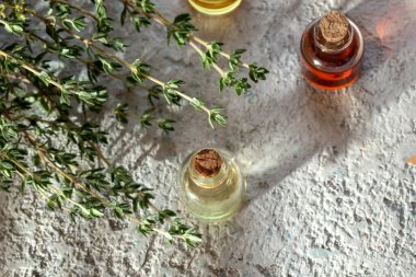 Temel yağ şişeleri taze kekik dalları ile, üst görünüm