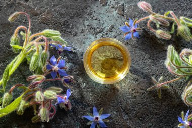 Borago 'nun yeni açmış resmi bitkisiyle bir kase borage yağı. 