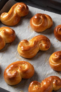 Jidasky ya da jidase - Fırın tabağında hamur mayasından yapılmış Çek tatlısı