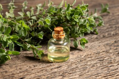 Marjoram dalları ve kopyalama alanı olan gerekli yağ şişesi.