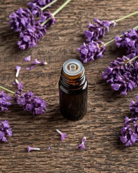 Bouteille Huile Essentielle Sombre Avec Brindilles Lavande Fraîches Fleurs — Photo