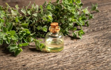 Temel yağ şişesi, taze marjoram dallarıyla, kopyalama alanı ile