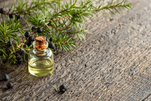 Una Botella Aceite Esencial Con Ramitas Enebro Fresco Con Espacio — Foto de Stock