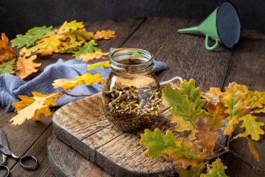 Cam bir kavanozda alkol ve meşe kabuğu - bitkisel tentürlerin hazırlanması