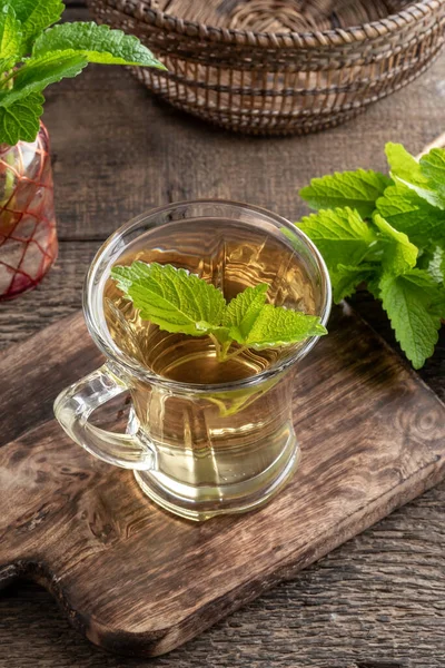 Чашка Чая Мелиссой Свежим Растением — стоковое фото