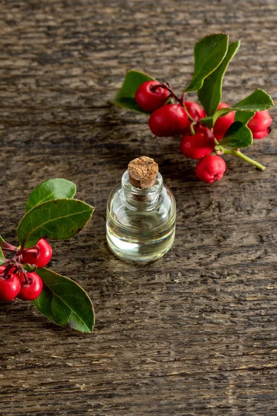 Una Botella Aceite Esencial Con Hojas Verdor Invernal Bayas Sobre — Foto de Stock