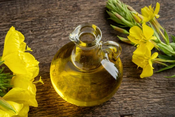 Nachtkerzenöl Einer Flasche Mit Blühender Oenothera Biennis Pflanze — Stockfoto