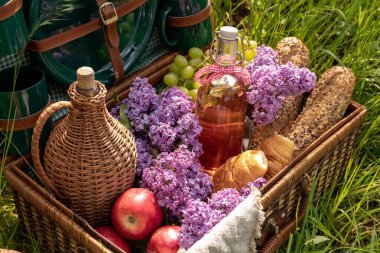 Elma, üzüm, ekmek, pasta ve diğer yiyeceklerle piknik sepeti.