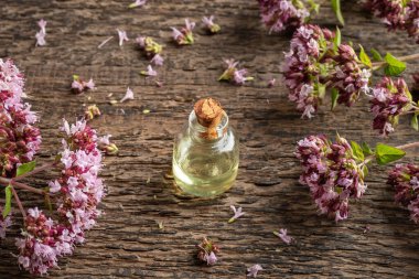 Taze kekik dalıyla şeffaf bir yağ şişesi.