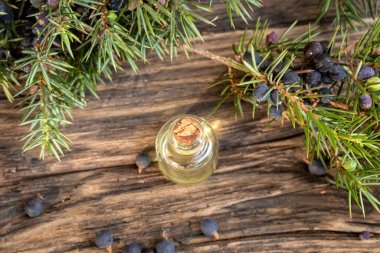 Taze ardıç dallarıyla birlikte gerekli yağ şişesi.