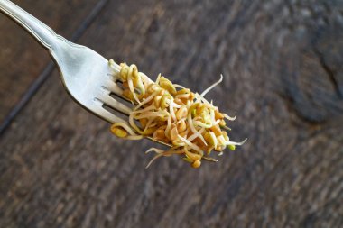 Ahşap arka planda bir çatalda Çemen otu filizleri