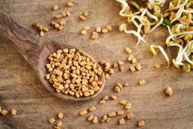 Arka planda üç günlük lahanaları olan kaşık üzerinde kuru çemen otu tohumları.