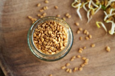 Arka planda filizlenmiş Trigonella ile kuru çemen otu tohumları