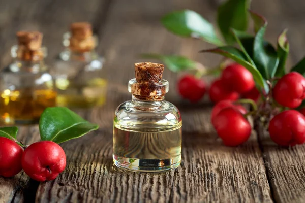 Una Botella Aceite Esencial Con Ramitas Verdor Sobre Una Mesa — Foto de Stock