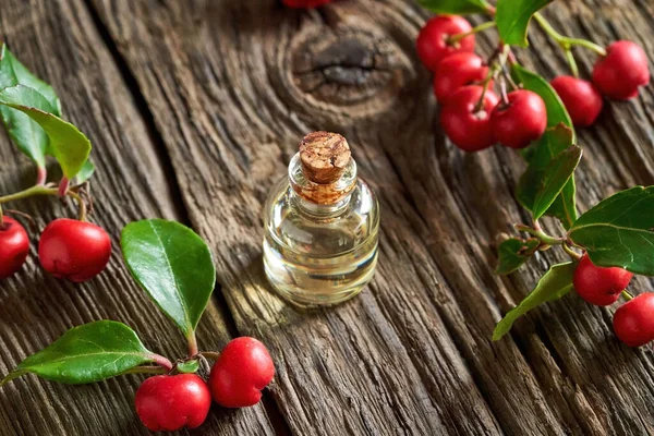 Una Botella Aceite Esencial Con Planta Invernal Sobre Fondo Rústico — Foto de Stock