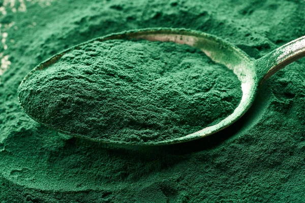 Spirulina Pulver Auf Einem Metalllöffel Nahaufnahme — Stockfoto