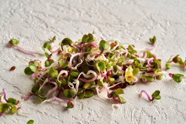 Beyaz arka planda taze pembe turp filizleri, yakın plan.