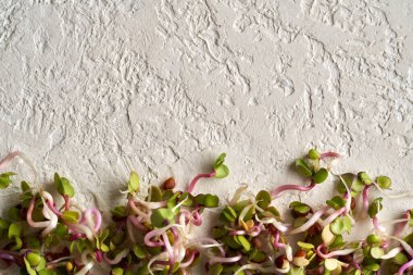 Fotokopi makaralı beyaz arkaplanda pembe turp filizleri