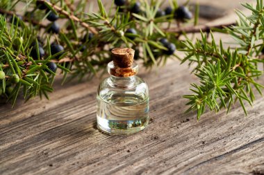 Taze ardıç dallarıyla birlikte gerekli yağ şişesi.