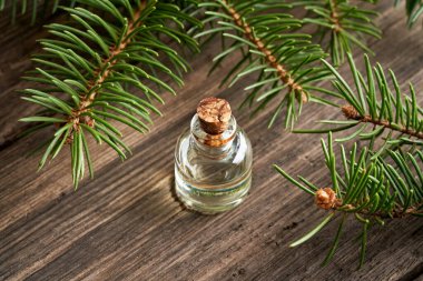 Ahşap masa üzerinde ladin dalları olan bir şişe gerekli yağ.