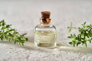 Beyaz arka planda taze kekik dalları olan bir şişe gerekli yağ.