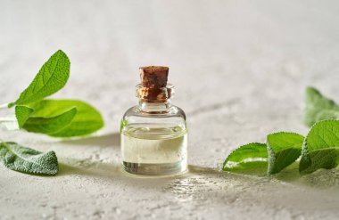 Beyaz arka planda adaçayı yaprakları olan bir şişe gerekli yağ.