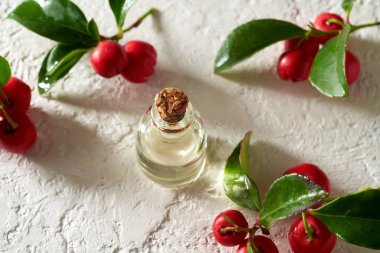 Beyaz arka planda keklik üzümü yaprakları ve böğürtlenli şeffaf bir yağ şişesi.