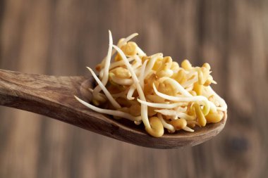 Tahta kaşıkta taze çam ağacı filizleri. Yaklaş.