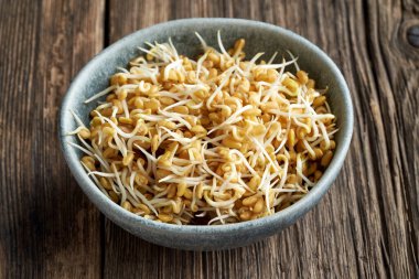 Bir kase dolusu çam ağacı tohumu.