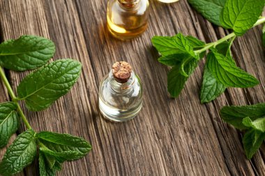 Arka planda taze nane dalları olan gerekli yağ şişeleri.