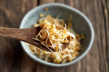 Bir kaşıkta çimen tohumu tohumu, yakın plan.