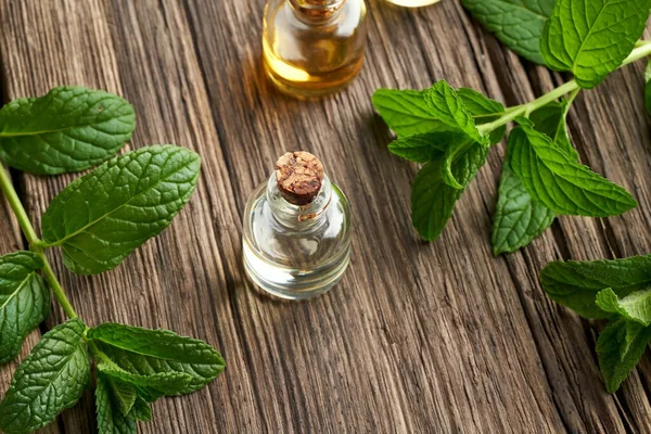 Arka planda taze nane dalları olan gerekli yağ şişeleri.