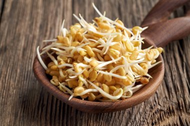 Masadaki kaşıkta taze çemen lahanası, yakın çekim.