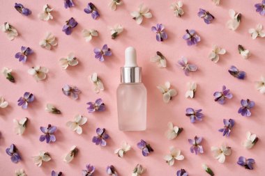 Pastel pembe kağıt üzerinde taze ahşap çiçekli bir şişe yağ. Bahar konsepti