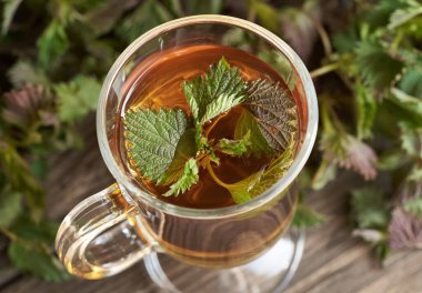 Bir bardak bitkisel çayın içinde taze ısırgan otları.