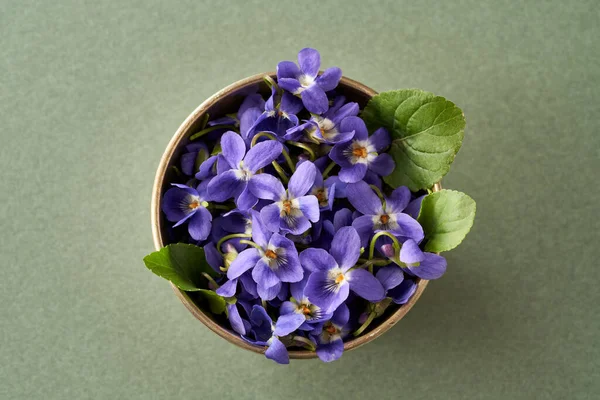 Wood violet flowers in a bowl on green background, top view