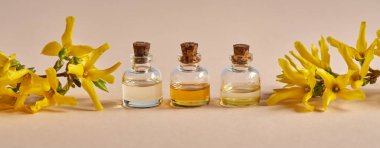 Üç şişe esaslı yağ ve sarı bahar çiçekleri ile pankart.