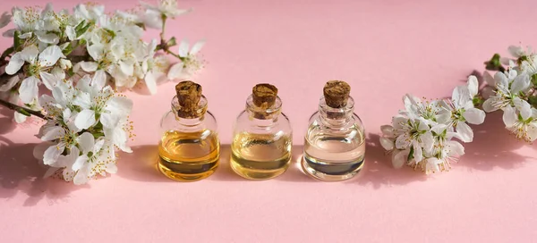 Panoramic Header Three Bottles Essential Oil Pink Background Spring Blossoms — Stock Photo, Image