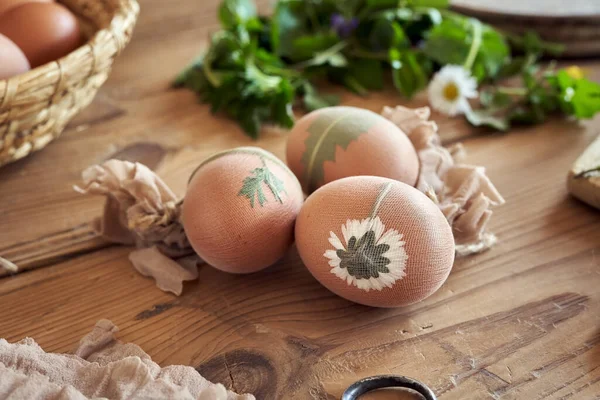 Çiğ Paskalya Yumurtaları Taze Bitkiler Soğan Kabuklarıyla Boyanmaya Hazır — Stok fotoğraf