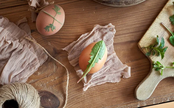 Paskalya Yumurtalarının Soğan Kabuklarıyla Birlikte Taze Bitkilerle Ölmeye Hazırlanması — Stok fotoğraf