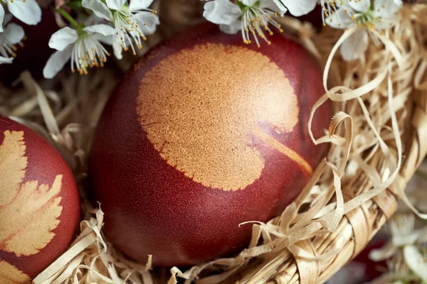 Paskalya Yumurtaları Soğan Kabuklarıyla Boyanmış Bir Desen Otla Bahar Çiçekleriyle — Stok fotoğraf