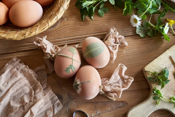 Üzerlerinde Taze Bitkiler Olan Paskalya Yumurtaları Soğan Kabuklarıyla Boyanmaya Hazır — Stok fotoğraf