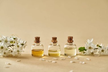 İlkbaharda çiçek açan ağaç dallarıyla birlikte pastel sarısı arka planda üç şişe gerekli yağ ve kopyalama alanı.