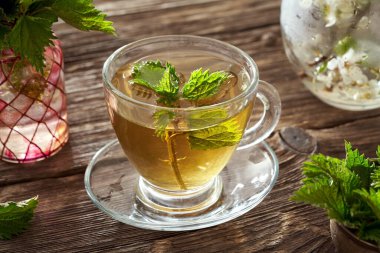 Bir fincan bitkisel çayın içinde taze ısırgan otu.