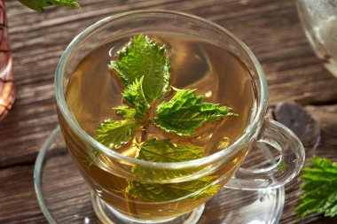 Bir fincan taze ısırgan otlu bitki çayı.