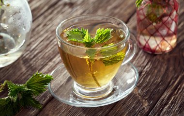 Bir fincan bitkisel çayın içinde taze ısırgan otları.