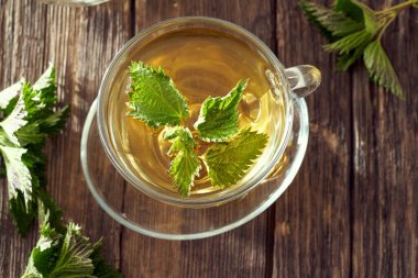 Bir fincan taze otlu ısırgan otu çayı.