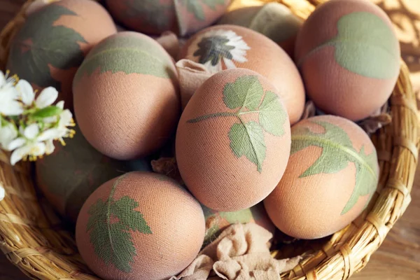 Preparazione Uova Pasquali Tingere Con Bucce Cipolla Foglie Fresche Sono — Foto Stock