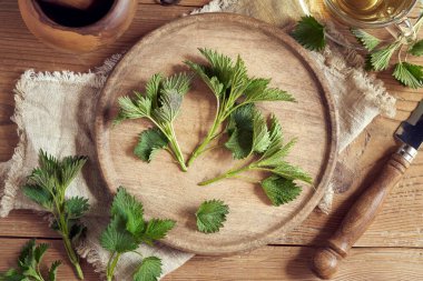 İlkbaharda tahta kesme tahtasından taze ısırgan otları toplandı.